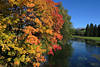 Illerufer Naturfoto Herbstfarben am Wasserfluss Allgu Bergtal Bume Alpwiesen Naturbilder