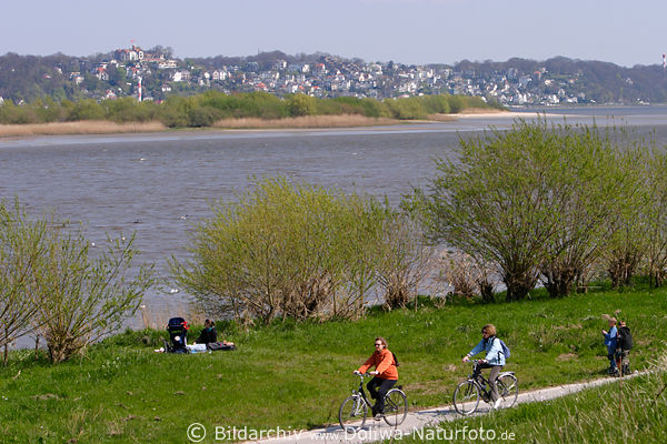 Elbdeich Radler Picknick an Elbe Wasser Landschaft