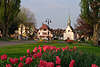 Uhldingen am berlinger See in Bodensee Reise Foto, Kirche an Allee & Seepromenade in Blumen