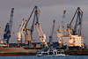 54755_ Concordia Ausflug zu Krnen von Steinweg Sd-West Terminal mit Containerschiff MS Egyptian Foto