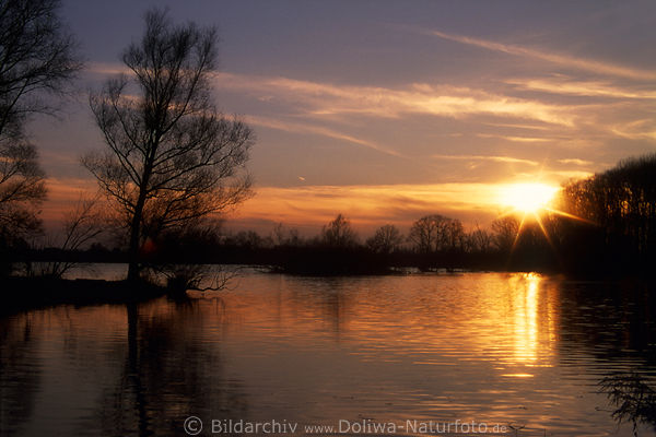 Sonnenuntergang ber Wasser alter Sder-Elbe Fluss Naturidylle bei Neuenfelde Hamburg
