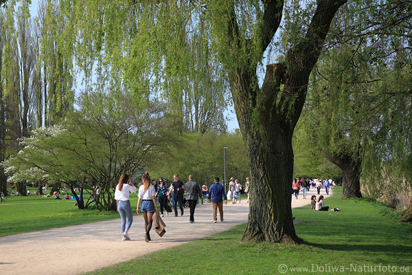 Alsterpark Hamburg Allee Frhling Besuch grne Naturoase Spaziergang