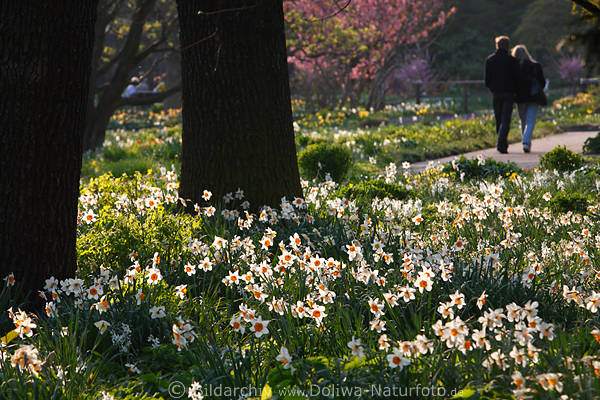 Planten un Blomen Park Frhlingsblte Paar Spaziergang