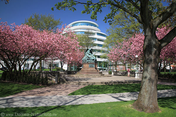 Kirschbaumblte lila-grn Oase Alsterpark Hamburg Frhlingsfoto mit Kriegerdenkmal