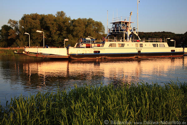 Elbe-Schiffsfhre Darchau Elbe-berfahrt Passagier-Autofhre Wasser-Flussfahrt