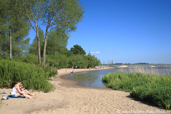 Elbstrand Kollmar Sand grne Naturidylle sonnend am Wasserufer