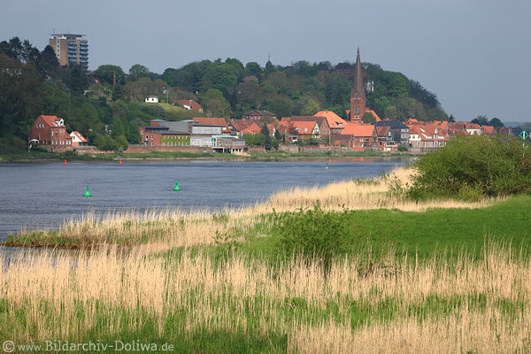 Lauenburg Elbufer-Grser Flusslandschaft Naturfoto vor Stadtpanorama Wasserblick