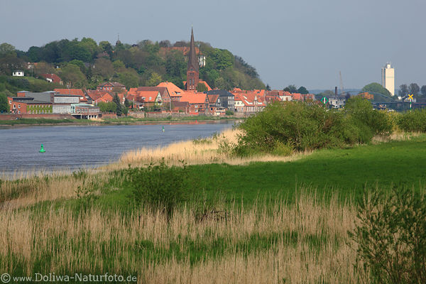 Lauenburg Elbe Flussufer Stdchen grne Naturidylle am Wasser