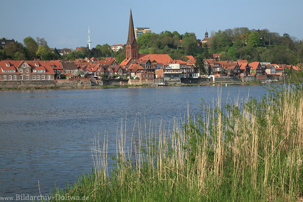 Lauenburg Stadt Elbuferschilf Fluss Wasser Grser