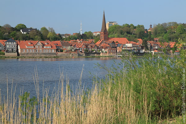 Lauenburg Elbe Schilfufer Stadt Wasserblick Flusslandschaft