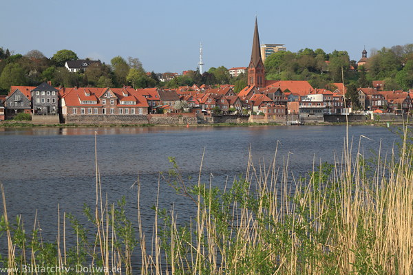 Lauenburg Elbe Schilfufer Grser Naturbild Stadtpanorama am Fluss