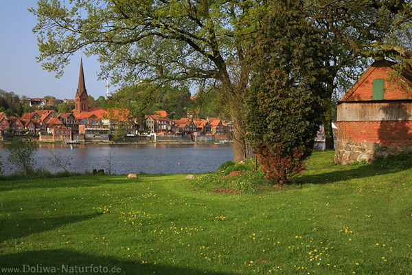 Elbufer Lauenburg grne Wiese Fluss Altstadt Wasserblick unter Baum
