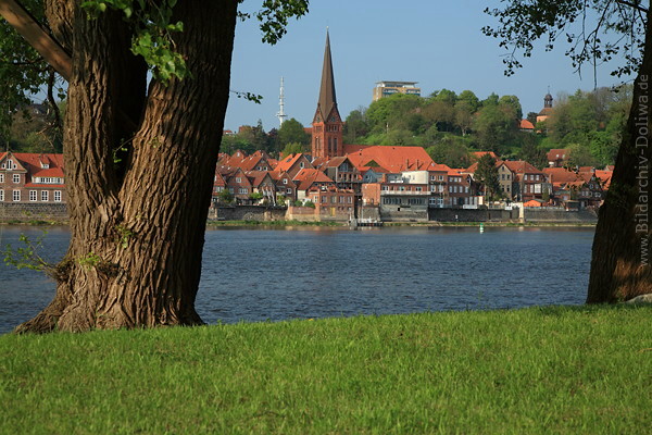 Lauenburg Elbe Hochufer-City Altstadt Kirche Wasserblick Grnwiese Baumstmme