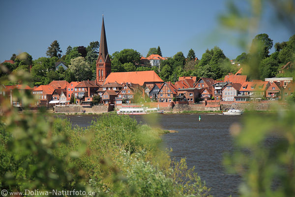 Lauenburg Stadt in Frhling Elbe grner Ufer Wasserblick