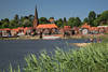 1800911_Elbufer Lauenburg Schilf Naturfoto vor Altstadt Kirchturm Huser am Wasser