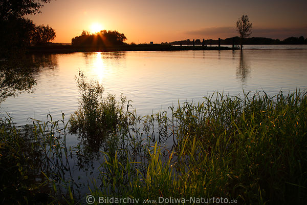 Elbe-Romantik Sonnenuntergang ber Wasser Flulandschaft Natur-Stimmung in Gegenlicht