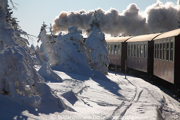 Brockenbahn Winterfoto Volldampf-Romantik Harzausflug in Naturlandschaft