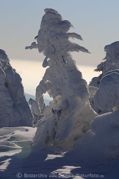 Harz Schneekrieger Schneegestalt Winterbild am Brocken skurrile Gestalt