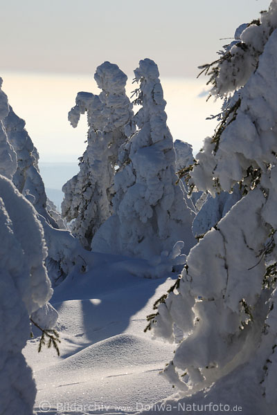Harzer Schneedamen Paar im Gesprch Tannen Schneegestalten windgeformte Winterskulpture