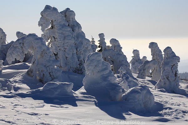 Winterliche Schneefiguren skurrile Schneegestalten am Brocken Naturfoto