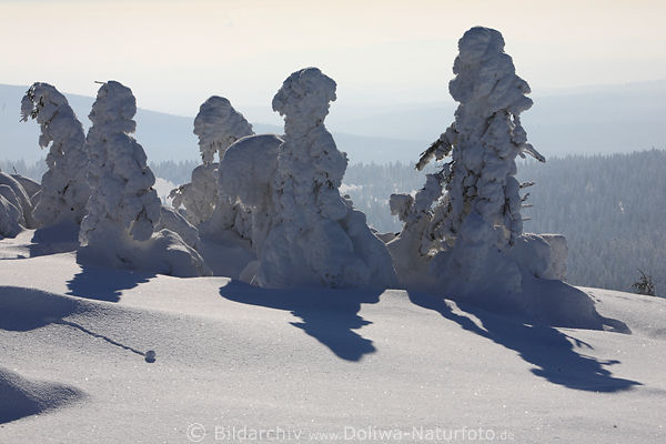 Harz Hexen skurrile Schneegestalten weisses Winterkleid frostiger Brockenberg