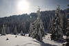 101232_Wintermrchen Harz Schnee Naturfoto Sonnenschein Wanderer auf Winterweg