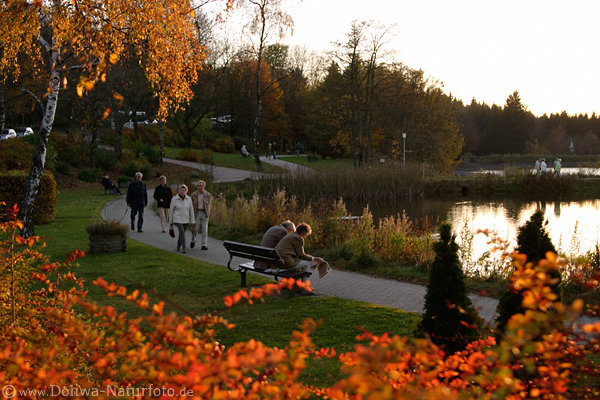Kranichsee Uferpromenade Golden Herbst Urlaub in Harz Goslar Hohnenklee Besuch