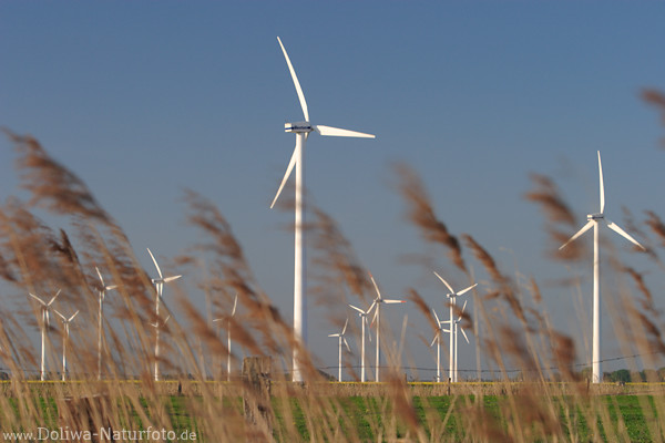 Windparks Windmhlen Kraftwerke in Marschland Grser