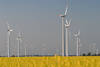 701178_ Dithmarschen Windkraftwerke Landschaft-Park Bild, Marschland Windmhlen ber Rapsfeld, Mhlen