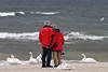 41909_Senioren Paar umarmt am Meer Ostseestrand Bild zwischen Schwnen vor Wellen im Wind, Mann & Frau