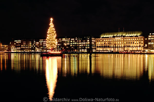Alster Weihnachtsbaum Nachtpanorama Hamburg City Lichter Adventszeit am See Wasser