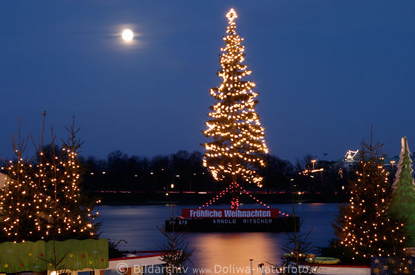 Tannenbaum auf Alster, Christbaum Fotos vor Mond ber Binnenalster in Weihnachtszeit Dmmerung