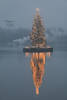 Christbaum Foto Alster Tannenbaum Weihnachtsbaum in Nebel am Schiff ber Binnenalster
