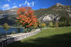 Cima dOro Gipfel ber Ledro-See Uferweg Herbstfarben am Wasser Grnwiese Naturfoto