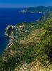 409013_Corniglia Foto: Ligurien Stadt am Felsen Cinque Terre Meerkste Panorama grne Terrassenfelder