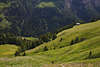 1101267_ Seiser Alm grnes Tal, tiefe Kluft, steile Bergwiesen, Wald am Berghang Landschaft Naturfoto