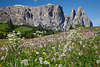 1101138_ Seiser Alm Dolomiten Berge Frhlingsblte Naturbilder Sdtirol Urlaubreise
