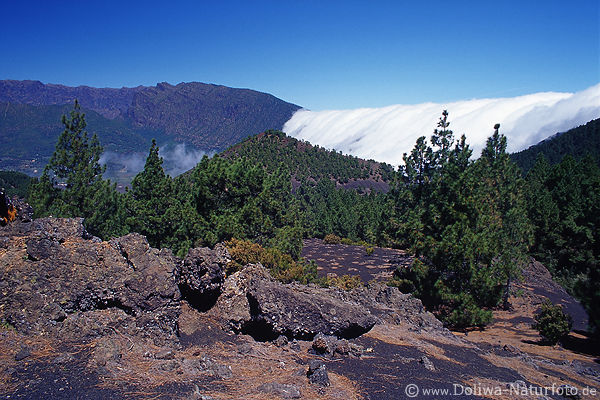 Passatwolke fliesst ber Gebirgskamm Cumbre Nueva Naturphnomen Vulkaninsel La Palma