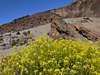 Av-0023_ Bltezeit Foto in Wste Las Canadas del Teide, Teneriffa Nationalpark Tour