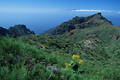 Nachbarinsel La Gomera Sicht von Masca Bergpass ber berhmte Masca Schlucht