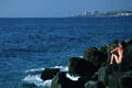 Anglerin auf Wellenbrecher Playa de las Amerikas in Los Cristianos Insel Teneriffa Urlaub Bild
