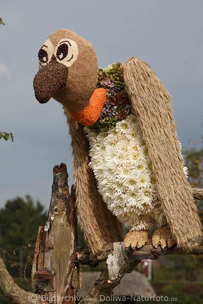 Geier aus Getreide-hren lustige Vogelfigur Blumen-Portrt