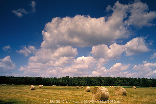 Schnwetterwolken in Wind ber Stoppelfeld Foto Strohballen nach Getreideernte