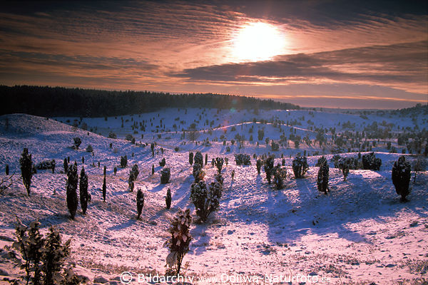 Sonne Gegenlicht ber Heidelandschaft Winterbild Totengrund Hgel Glanz Schnee Romantik Naturfoto
