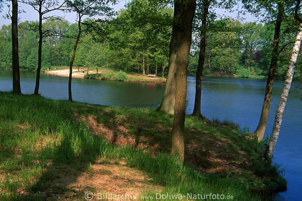 Brunausee Strand Uferlinien Bild Frhling Bume Wasserlandschaft Behringer Seepark Naturfoto