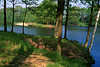 Brunausee Strand Uferlinien Bild Frhling Bume Wasserlandschaft Behringer Seepark Naturfoto