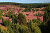 Heidelandschaft Totengrund Panorama Naturfoto violette Bltenflchen Grnbume Naturbild