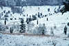 3032_Winter im Totengrund verschneite Heidelandschaft Frost Schnee Klte Naturbild schner Talblick