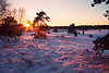 3069_Winterlicher roter Sonnenuntergang Schnee rotfrben in Heidelandschaft Romantik Winterbild