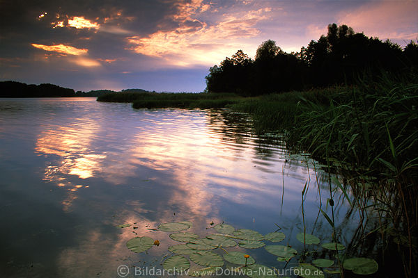 Sonnenreflexe in Abendstimmung, Spiegelung in Wasser an Staswinka-Mndung zu Wojnowosee (Hessen See)
